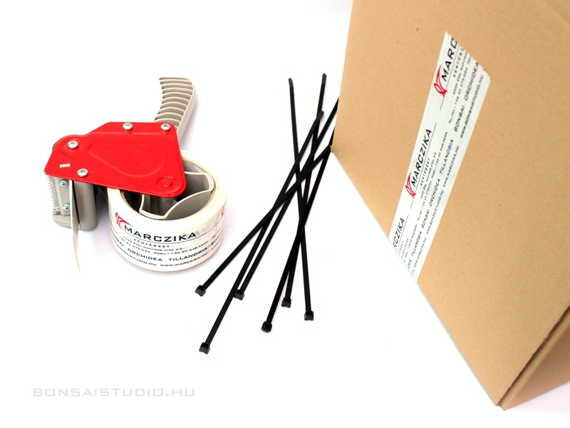 rendelt bonsai rogzitese csomagolasa marczika bonsai studio